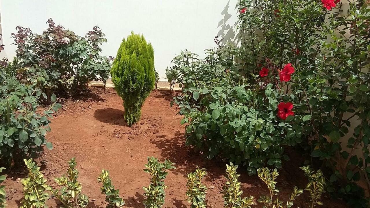 شقة La Perle Blanche سعيدية المظهر الخارجي الصورة